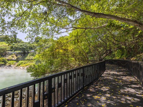 沿著環湖步道享受大自然的蒸氣Spa(圖片來源：臺北市政府觀光傳播局)