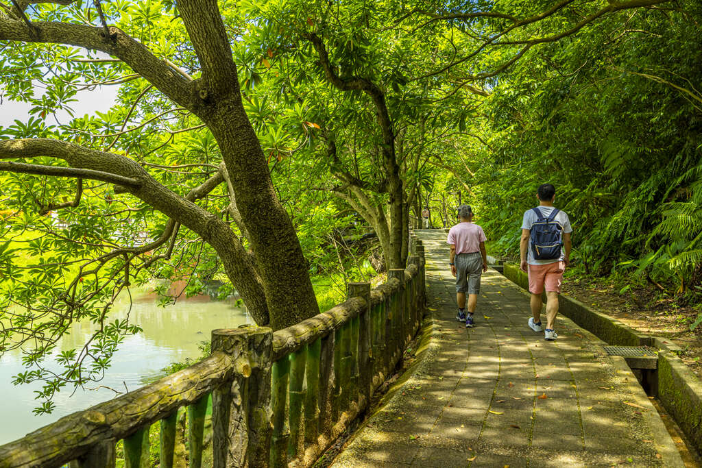 步道旁绿树成荫，环湖时也不怕晒(图片来源：台北市政府观光传播局)