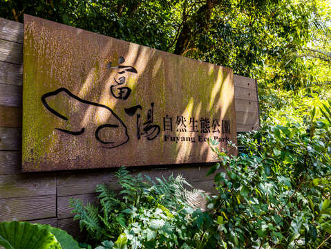 El Parque Ecológico de Fuyang
