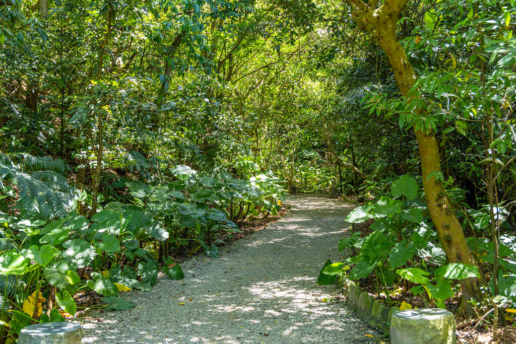 植物环绕，有如走入森林小径(图片来源：台北市政府观光传播局)
