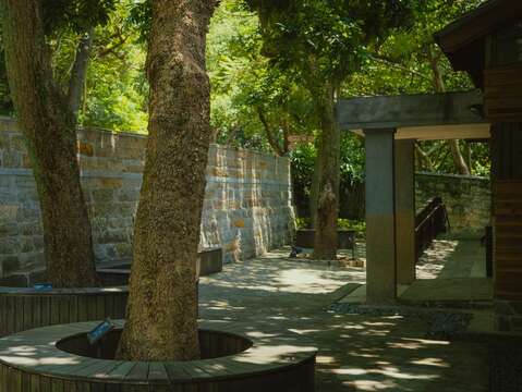 梅庭庭院種植多棵大樹(圖片來源：臺北市文化局)