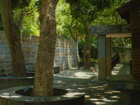 梅庭庭院種植多棵大樹(圖片來源:臺北市文化局)