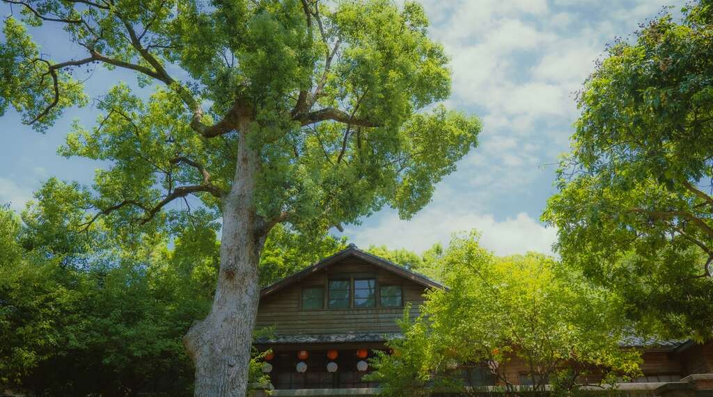 被大树环绕的梅庭(图片来源：台北市文化局)