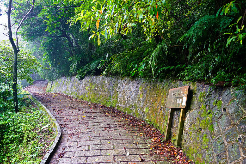Nangang Mountain System_Old Genliao Hiking Trail