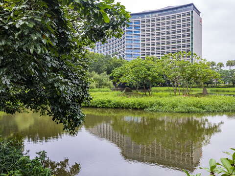 生態池周圍的自然景觀