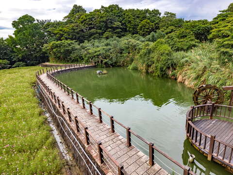 池塘倒映著周圍的綠意與天空
