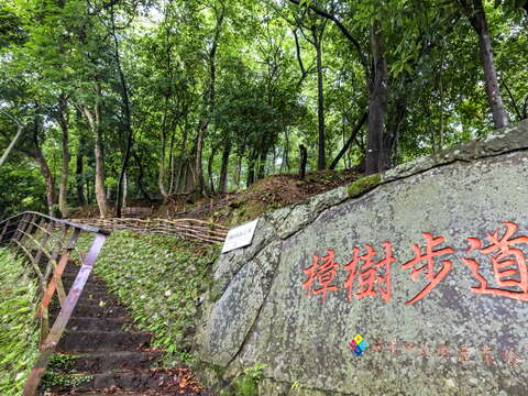 樟樹步道石雕招牌