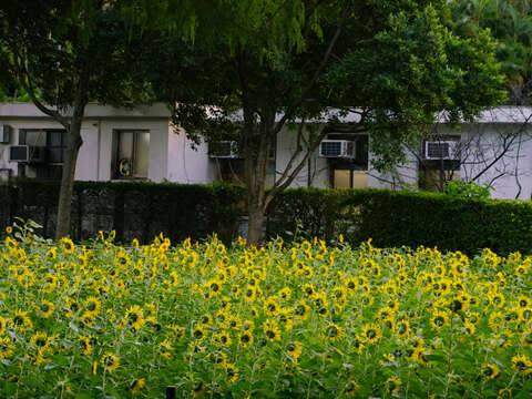 Chiang Kai-shek Shilin Residence_Chiang Kai-shek Shilin Residence Park