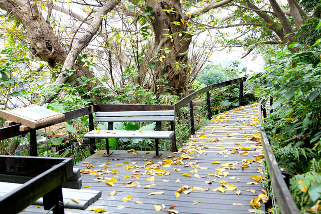 芝山文化生態綠園步道一景_攝影/許宜容