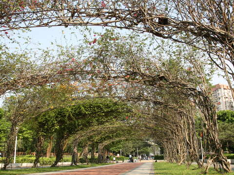 Rongxing Garden Park