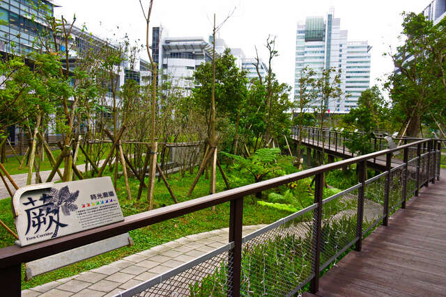 世貿公園_蕨類谷地園_攝影/高讚賢