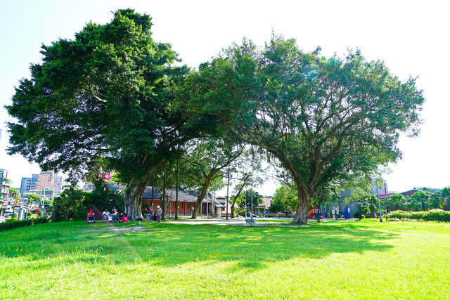 和平青草園_公園全景_攝影/高讚賢