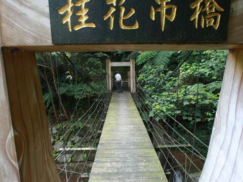 桂花吊桥步道