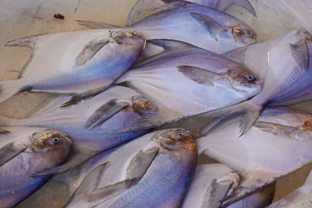 Pasar Buah, Ikan Bin Jiang