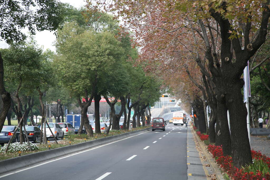 芸術の饗宴を楽しむ旅
