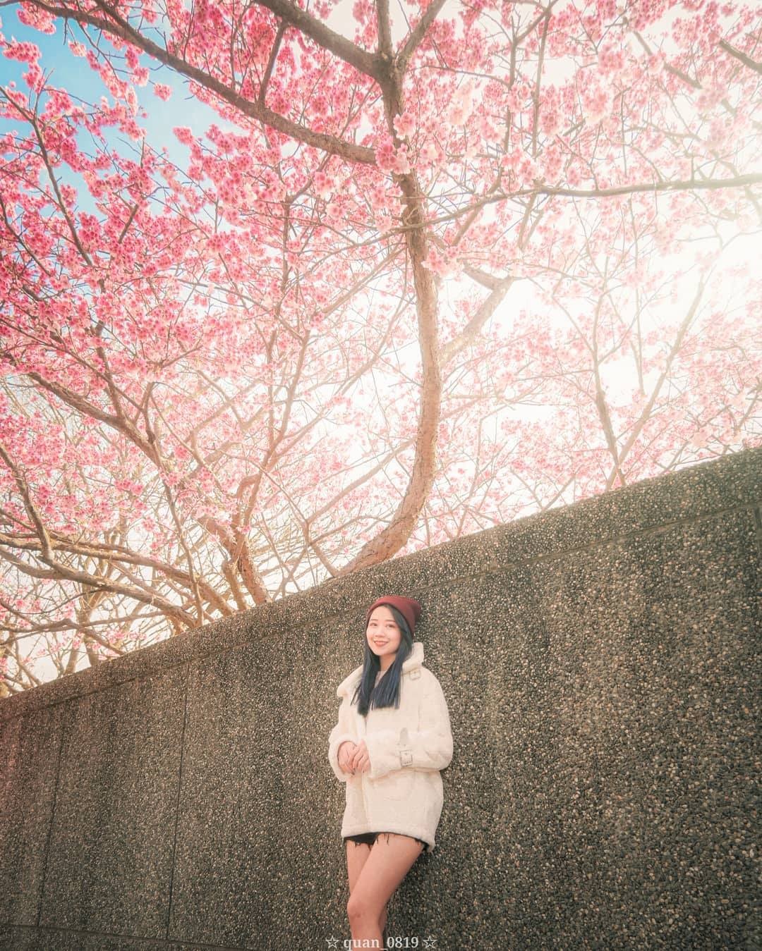 Instagram-(새 창으로 열기)