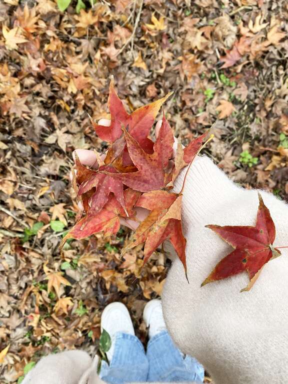 Instagram-(새 창으로 열기)