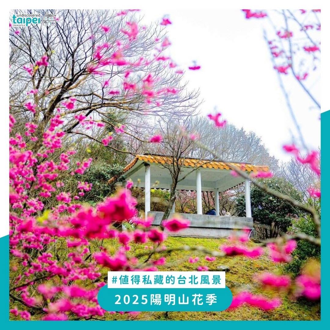Instagram-(新しいウィンドウを開きます)