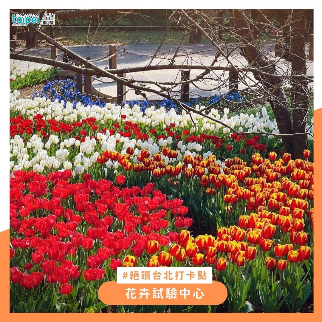 Instagram-(新しいウィンドウを開きます)
