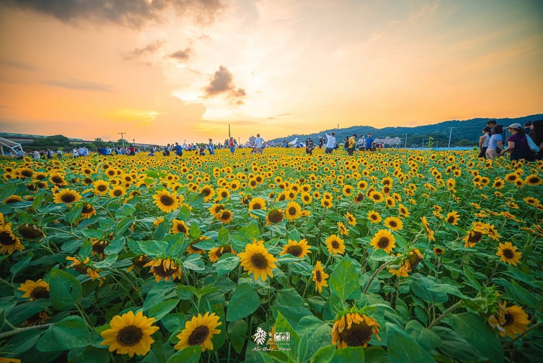 Instagram-(새 창으로 열기)