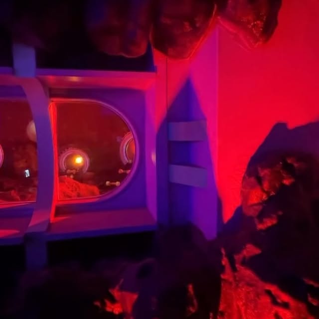 Instagram-(Open Window)