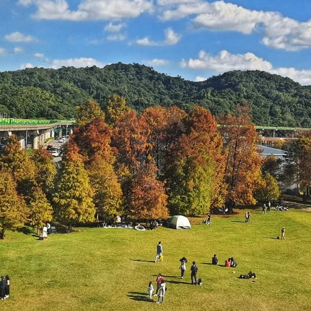 Instagram-(新しいウィンドウを開きます)