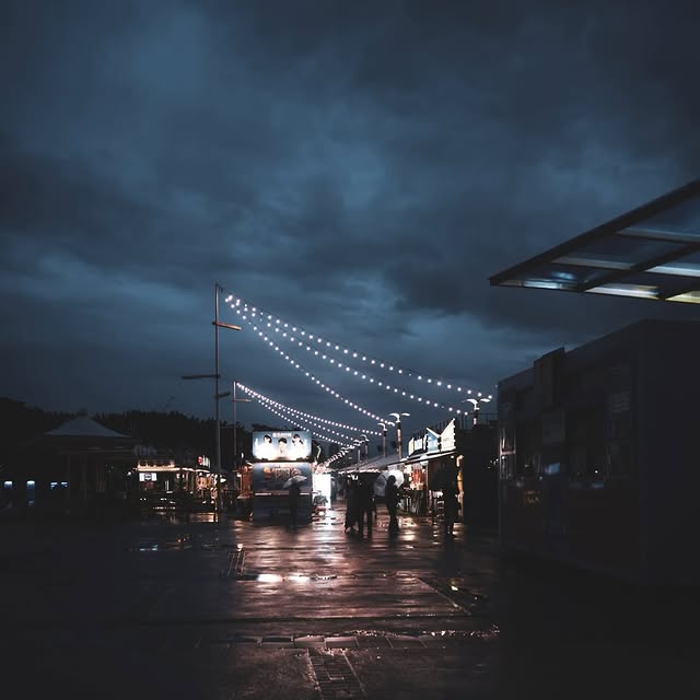 Instagram-(新しいウィンドウを開きます)
