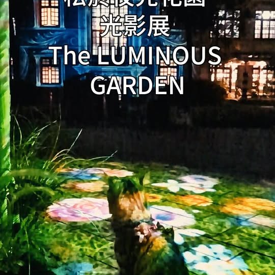 Instagram-(Open Window)