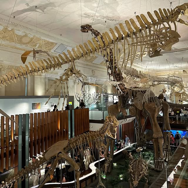 For just a few coins, you can travel back to the Jurassic World! 🦖／只要銅板價！就能讓你體驗穿越侏儸紀世界🦖