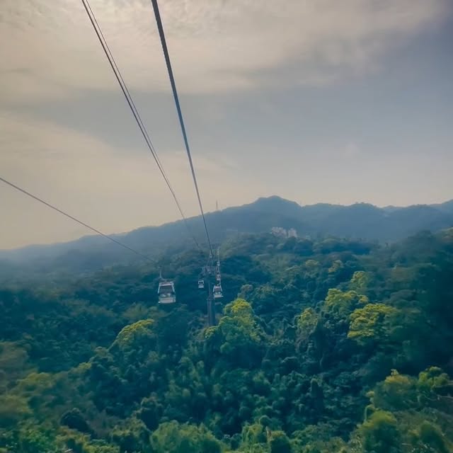 #貓空纜車 恢復營運啦🎉．