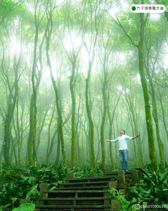 【你不知道的台北】避暑賞楓的魔幻電影場景，竹子湖的魔法森林！系列1/4