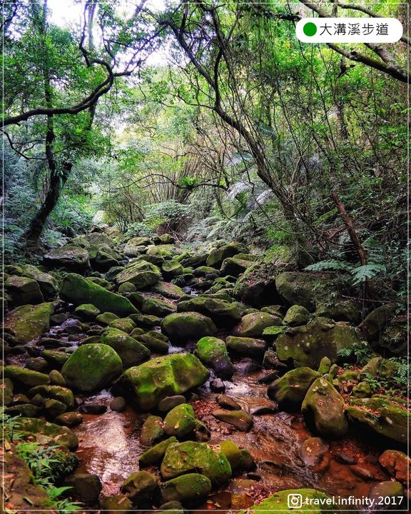 【台北步道】輕鬆好走+夏日能戲水的自然生態步道！系列1/1