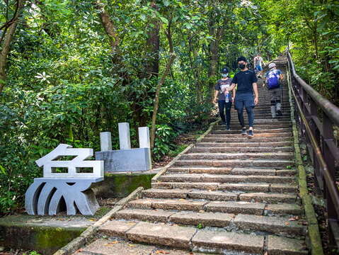 Deep Breaths in the Urban Forest: A Journey to Conquer the Four Beasts Mountain Trail