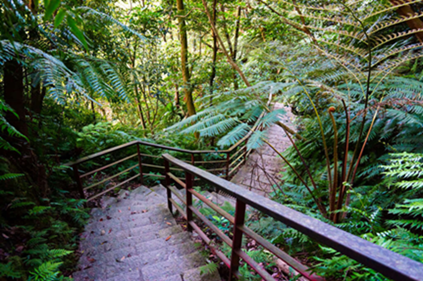 Bailusishan Hiking Trail