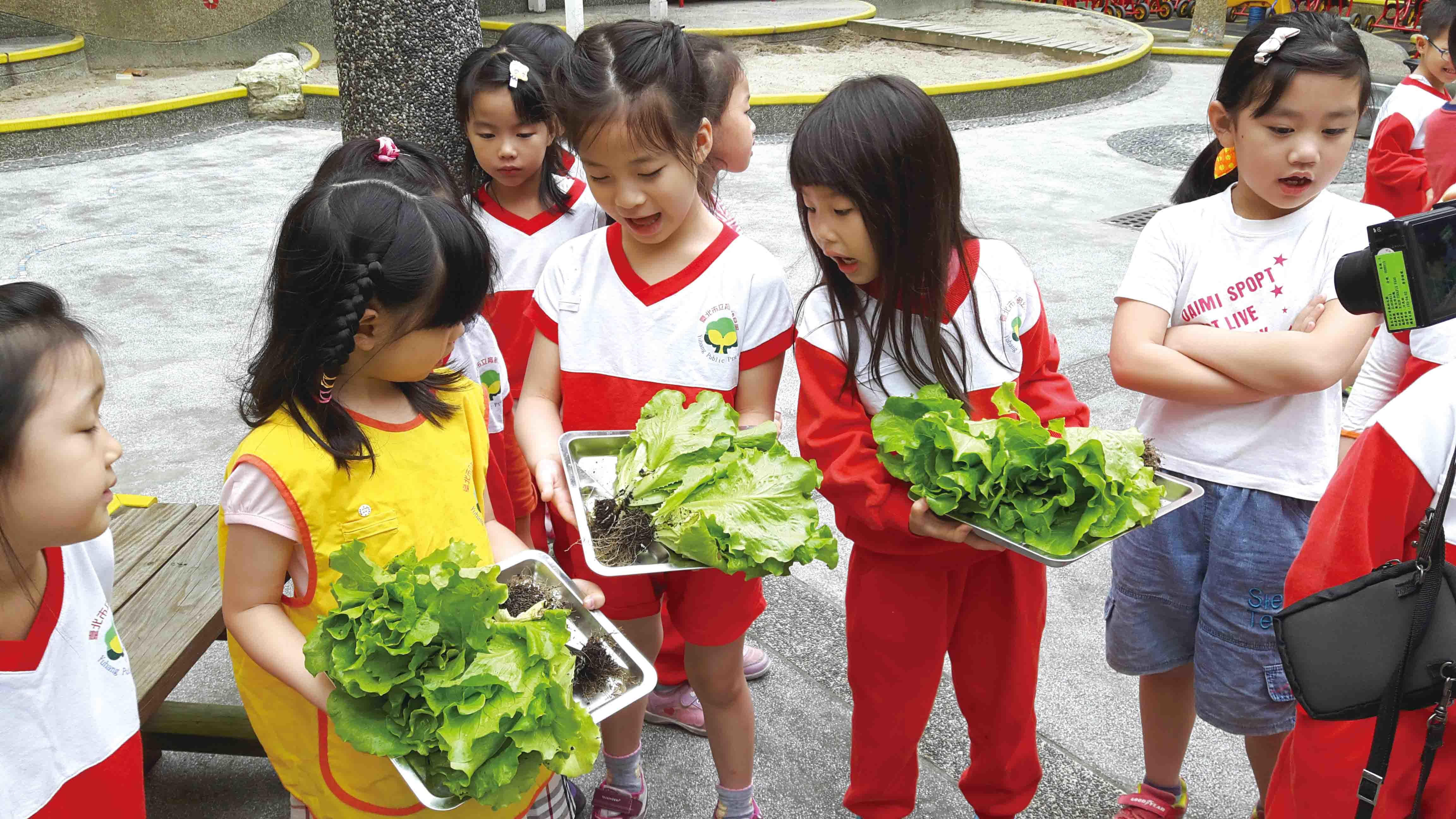 4.2.3_育航幼兒園的小園丁們抱著採收好的作物，從體驗過程中也學習到食材的珍貴。（圖／育航幼兒園提供）.jpg