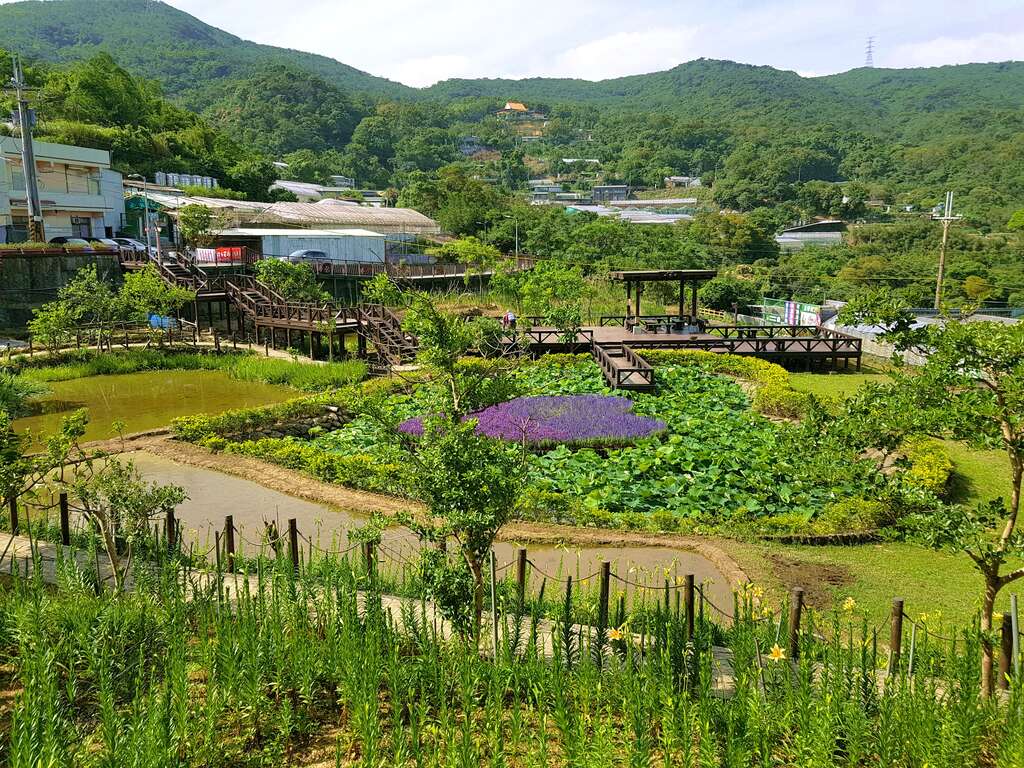 同心池