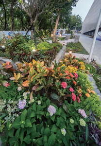 台北畫刊564期—走進城市花園 繽紛美麗盡收眼底