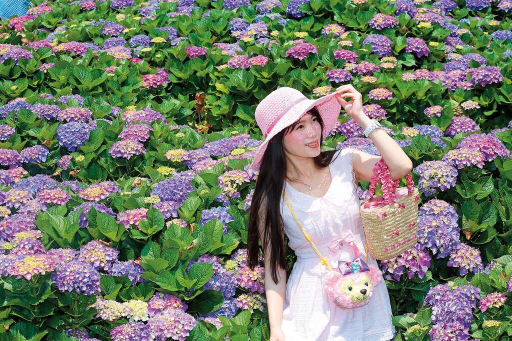 跟着爱情走