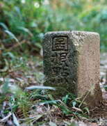 台北畫刊564期—木柵猴山岳 小叢林大冒險