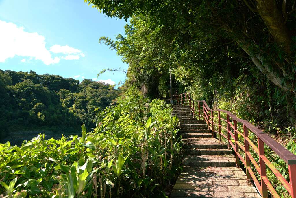 Enjoy Midsummer Music under the Tree at Beitou’s Hushan Borough