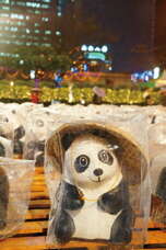 台北画刊103年4月第555期—「1600 猫熊世界之旅─台北」 完美谢幕