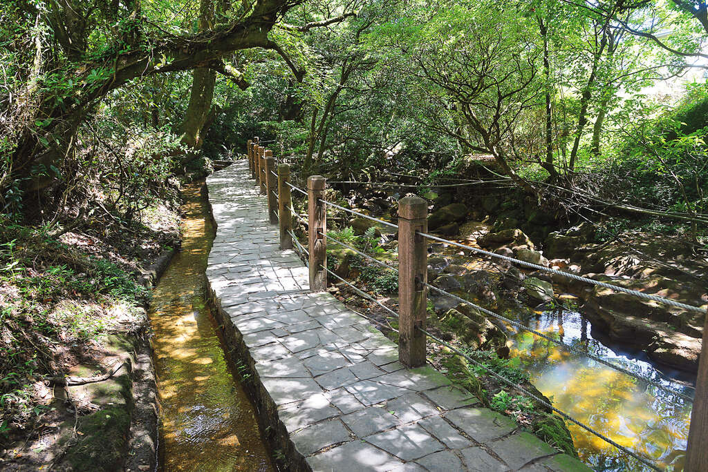 登高避暑的沁涼之徑　台北親山步道