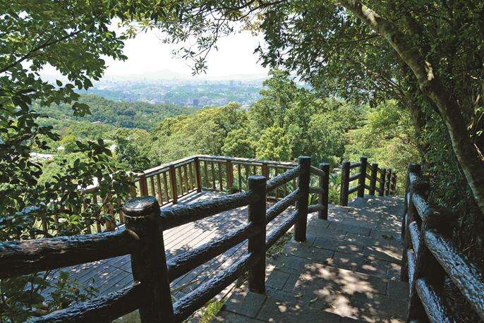 TAIPEI AUTUMN 2018 Vol.13 Appreciating Camphor Trees and a Tea Plantation on a Misty Mountain –  Camphor Tree and Zhanghu Trails Loop