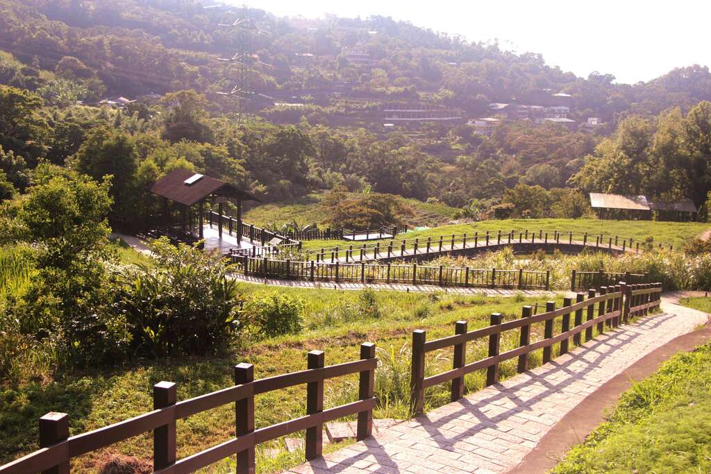 樟樹步道