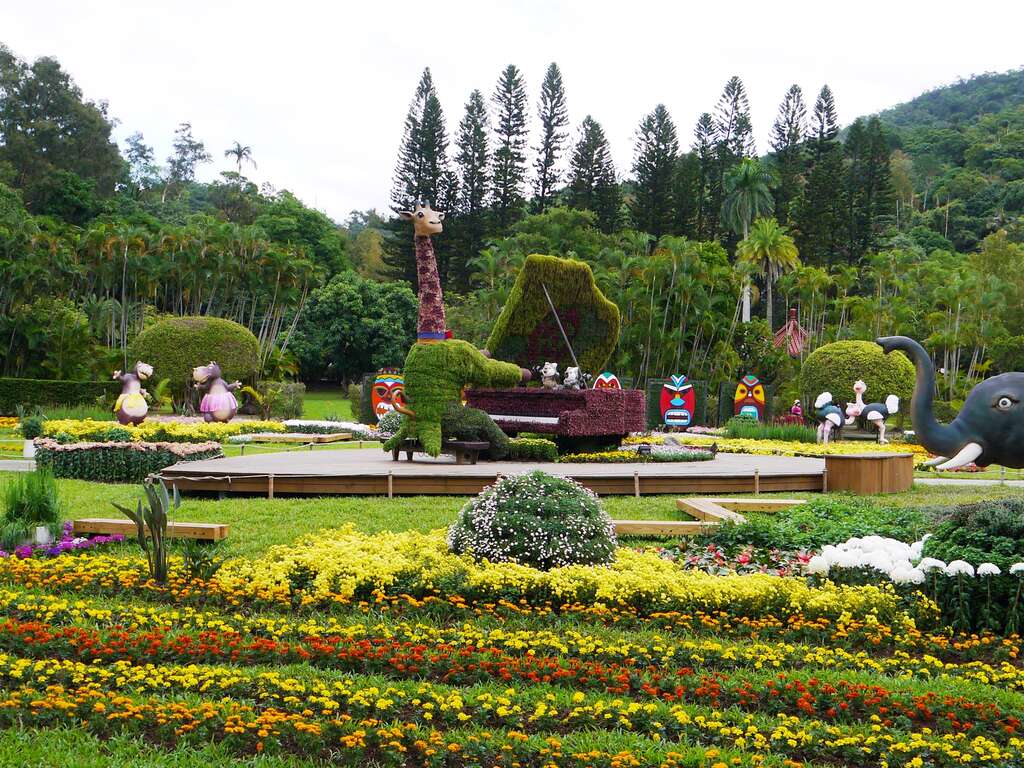 Chrysanthemum World Travel: 2018 Shilin Residence Chrysanthemum Show