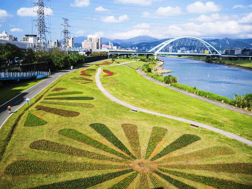觀山河濱花海照片