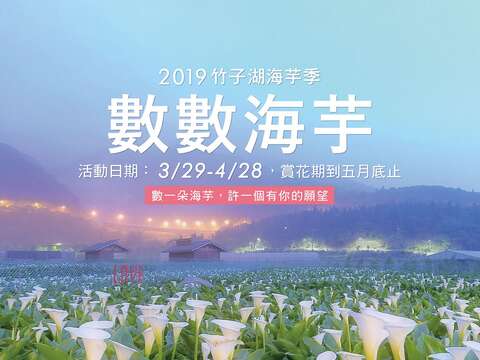 花开好了！一起来台北赏花吧！ 2019 台北春季花系列懒人包