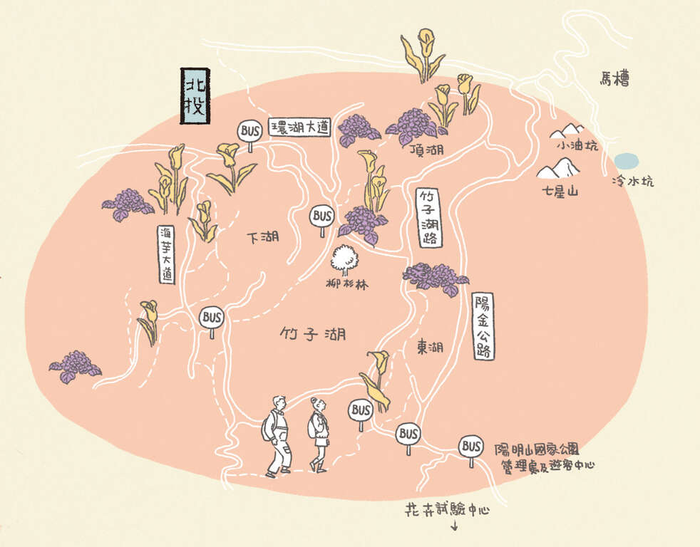【美好X台北　台北花季】整座城市都是我的後花園 (108年3月)