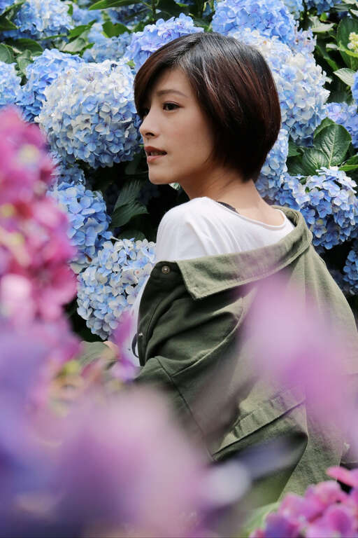 【美好X台北　台北花季】跟着海芋、绣球花上山追花