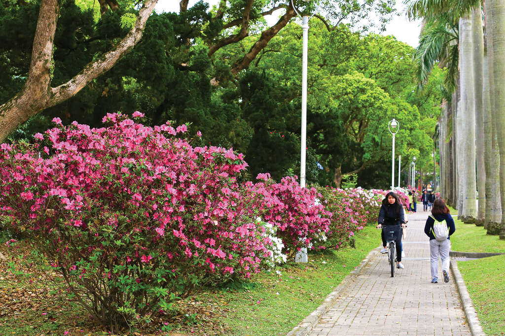 TAIPEI Spring 2019 Vol.15--Flower Viewing in Taipei: Three Routes Recommended for Couples, Friends, and Families